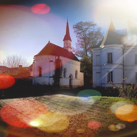 Chateau De Basche Assay エクステリア 写真